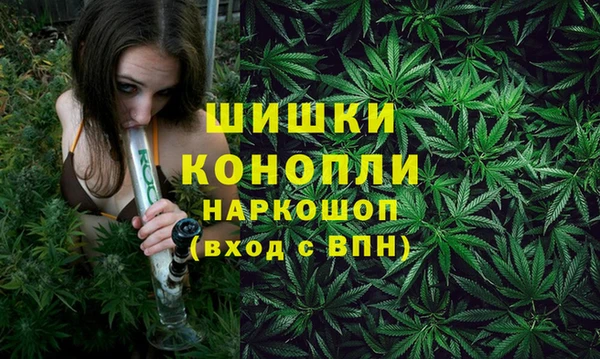 дживик Галич