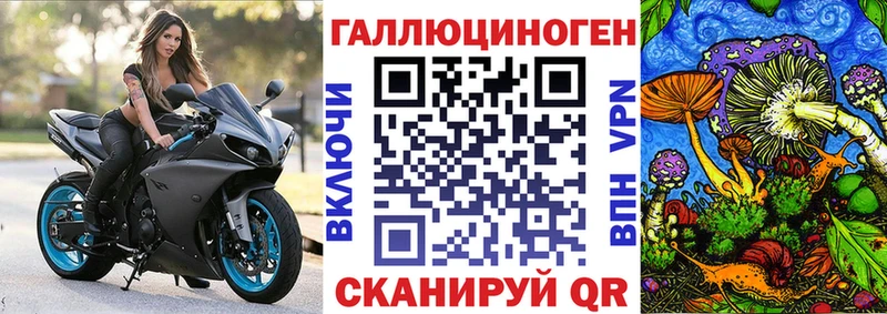 Галлюциногенные грибы Psilocybine cubensis  Торжок 